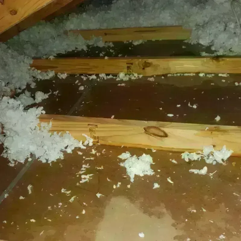 Attic Water Damage in Palmview South, TX