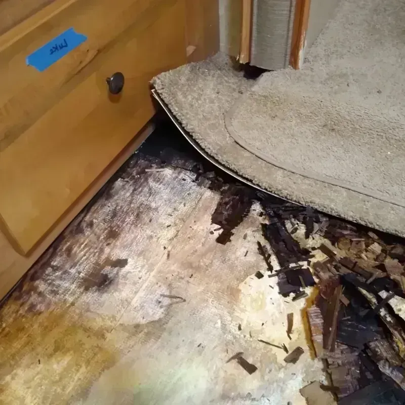 Wood Floor Water Damage in Palmview South, TX